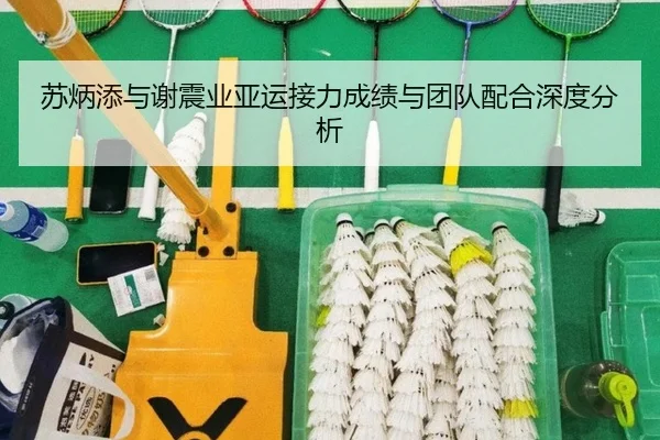 苏炳添与谢震业亚运接力成绩与团队配合深度分析